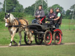 Fahrtraining bei Frans Hellegers 2017.