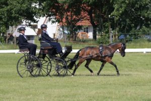 Sophie Hüsges startet ebenfalls für den RV Osterath bei der Jugend-EM im Fahren.